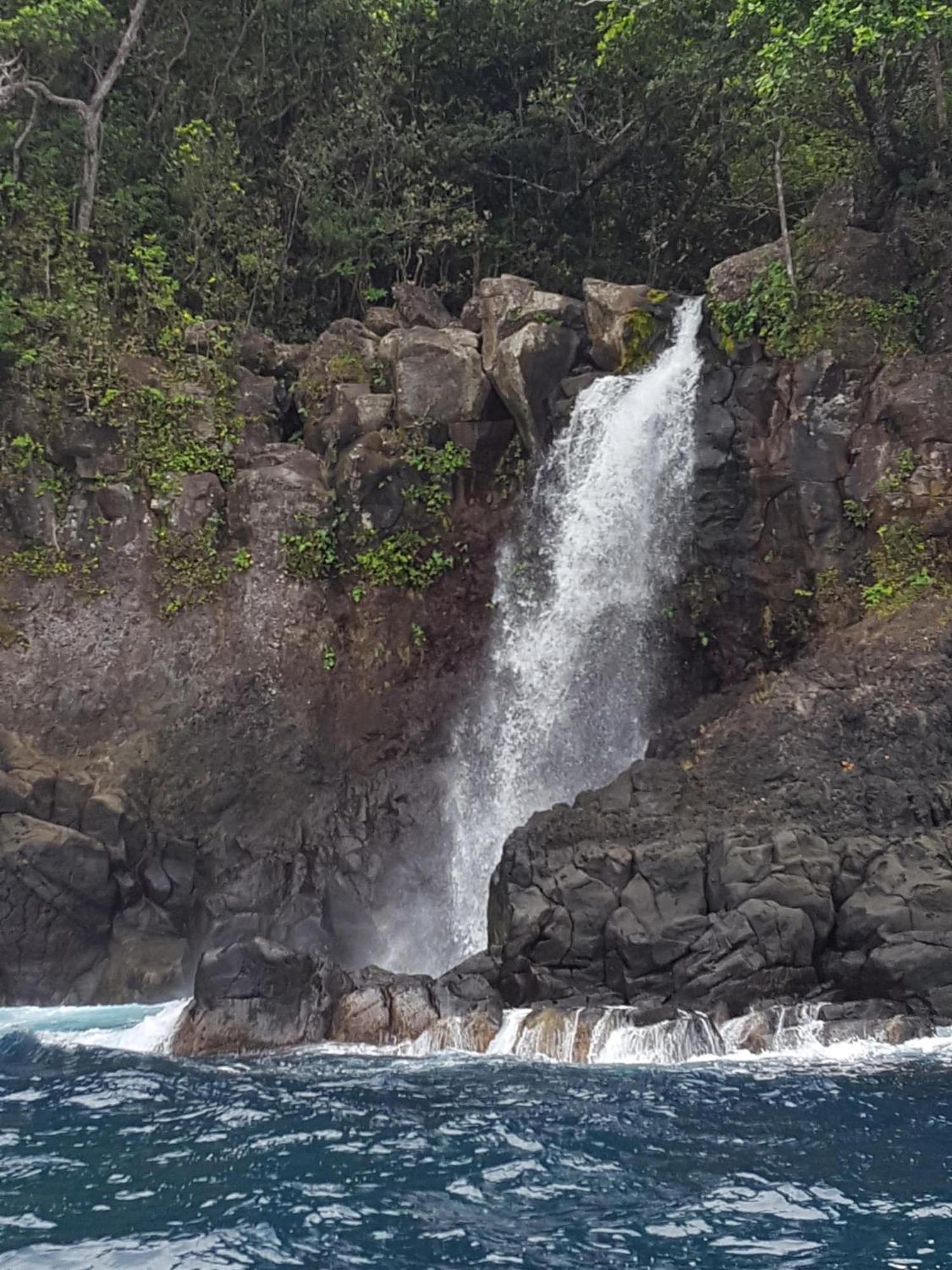 Taveuni Palms Resort Matei Luaran gambar